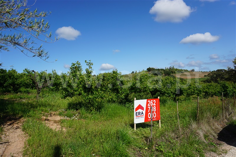 Terreno  Bombarral, Carvalhal - 1480667 - 2