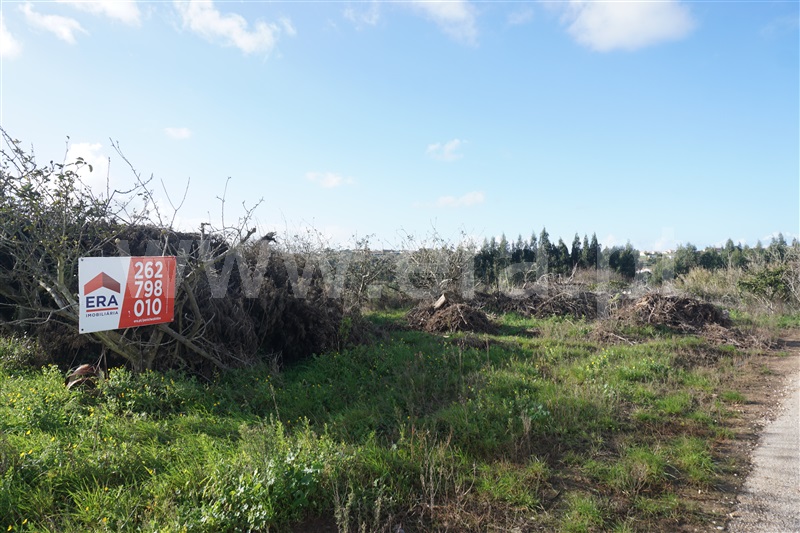 Terreno / Bombarral, Carvalhal