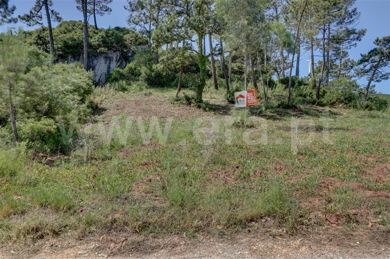 Terreno  Bombarral, Columbeira - 1409197 - 1