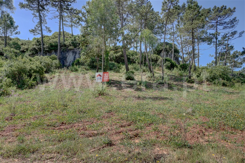 Terreno  Bombarral, Columbeira - 1409197 - 2