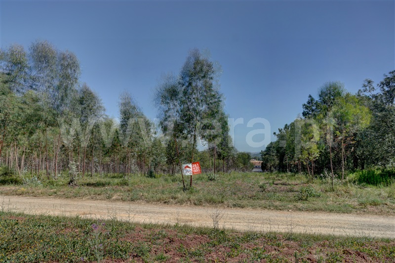 Terreno  Bombarral, Columbeira - 1409197 - 3