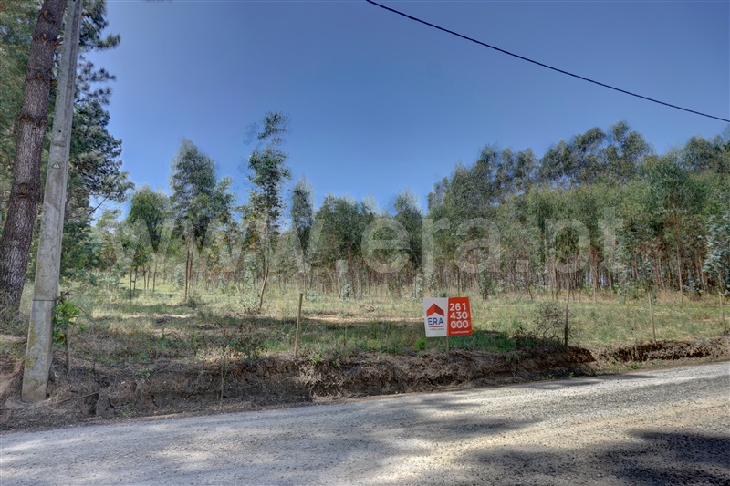 Terreno  Bombarral, Columbeira - 1409197 - 5