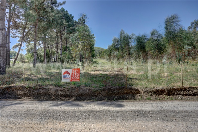 Terreno  Bombarral, Columbeira - 1409197 - 6