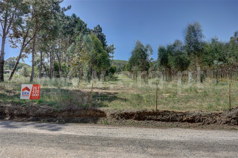 Terreno / Bombarral, Pó