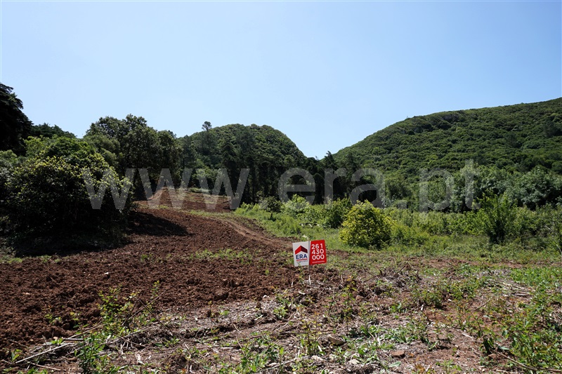 Terreno  Bombarral, Columbeira - 1409143 - 3
