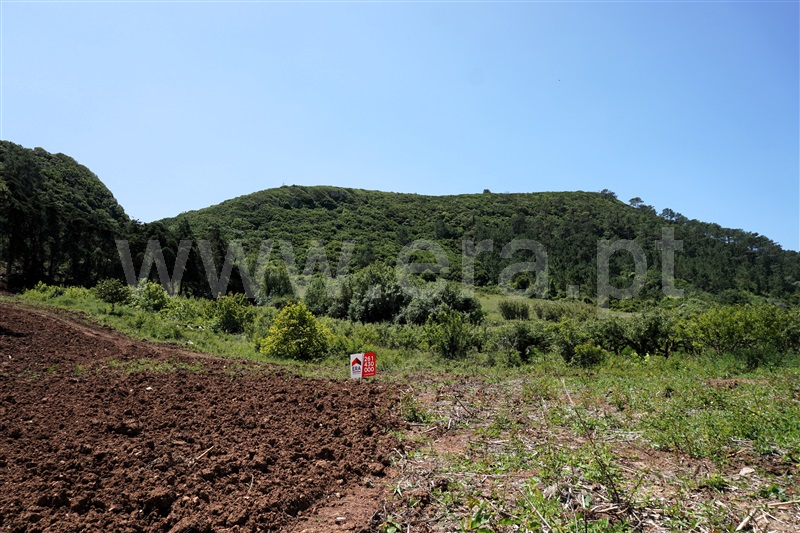 Terreno  Bombarral, Columbeira - 1409143 - 4