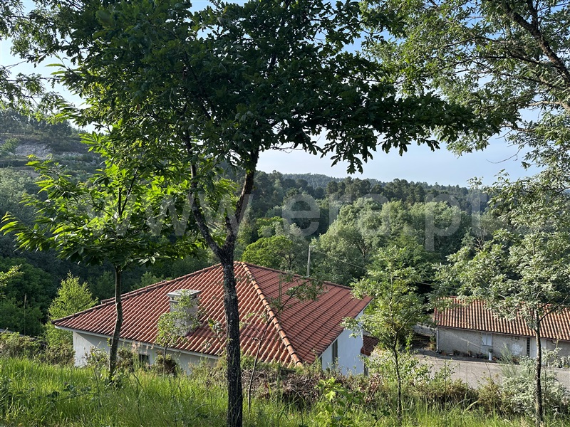 Moradia T4 Boticas, Beça - 1487330 - 12