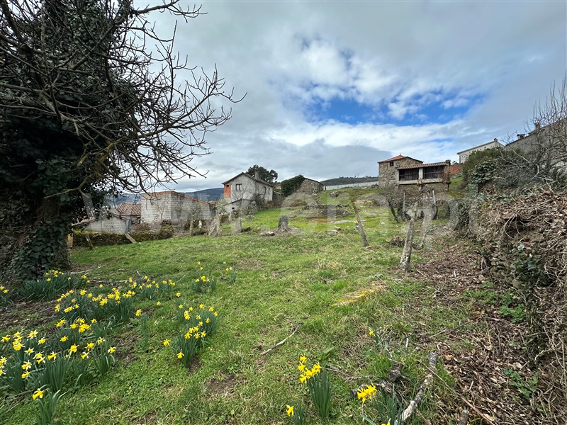 Terreno / Boticas, Boticas e Granja
