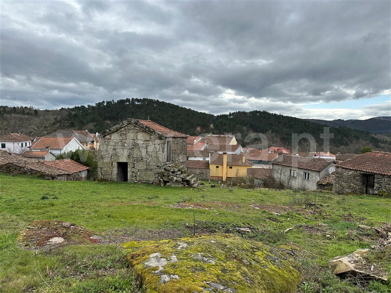 Moradia Rústica T1 Boticas, Boticas e Granja - 1454472 - 3