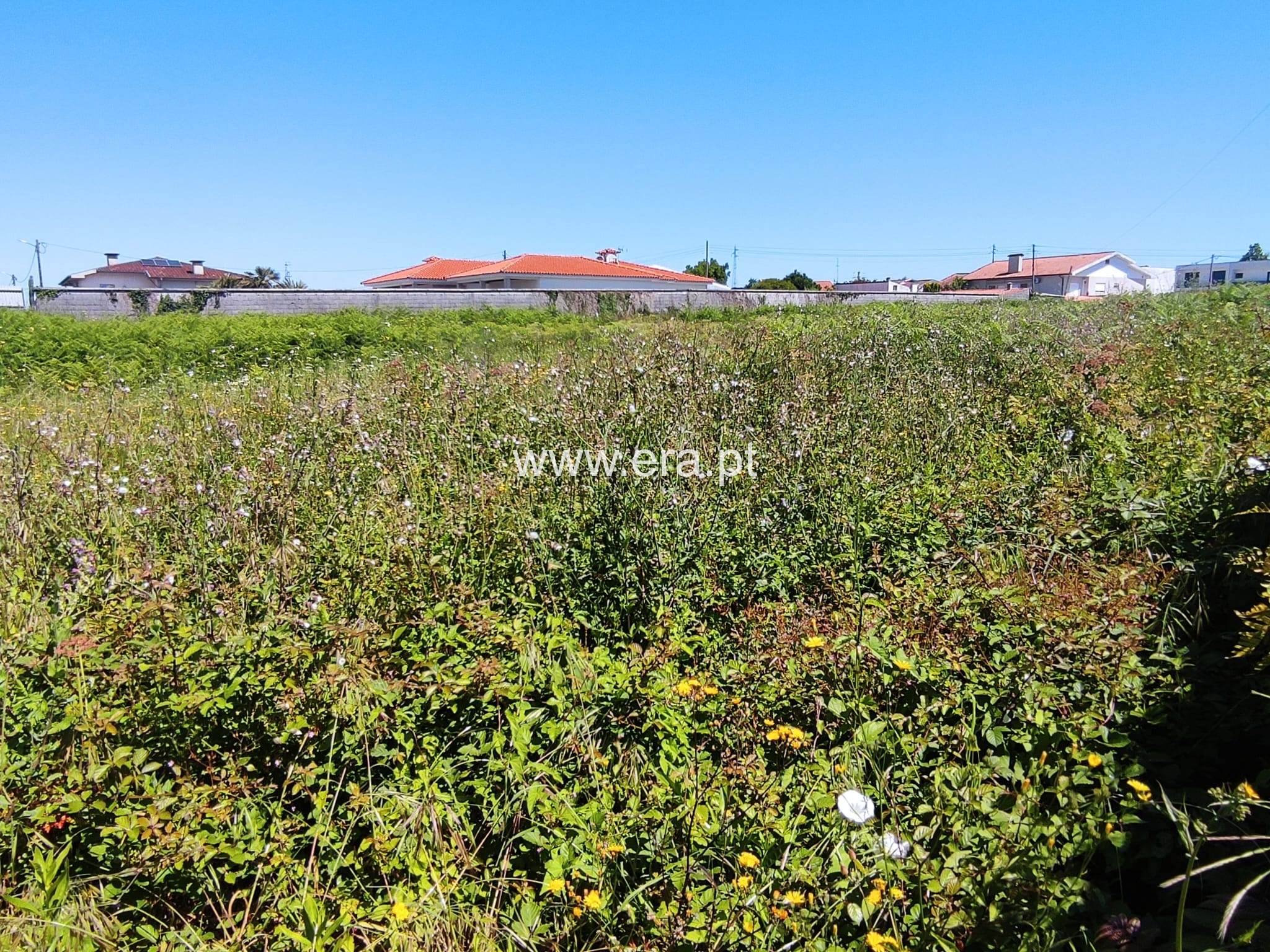 Terreno / Braga, Dume