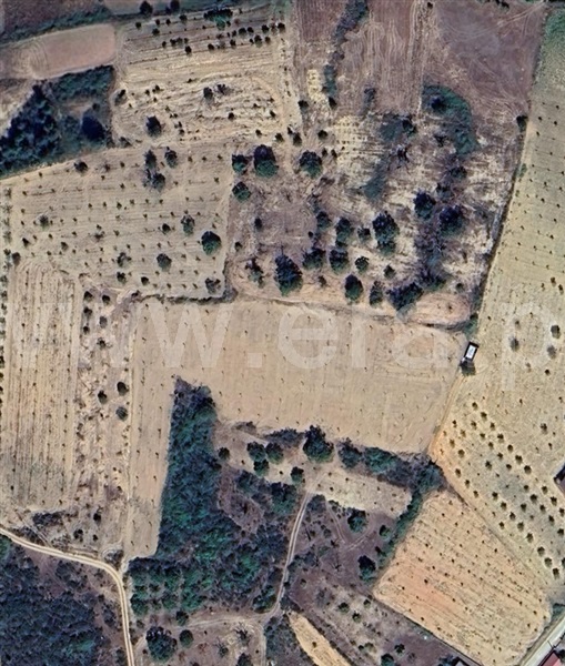 Terreno / Bragança, Coelhoso