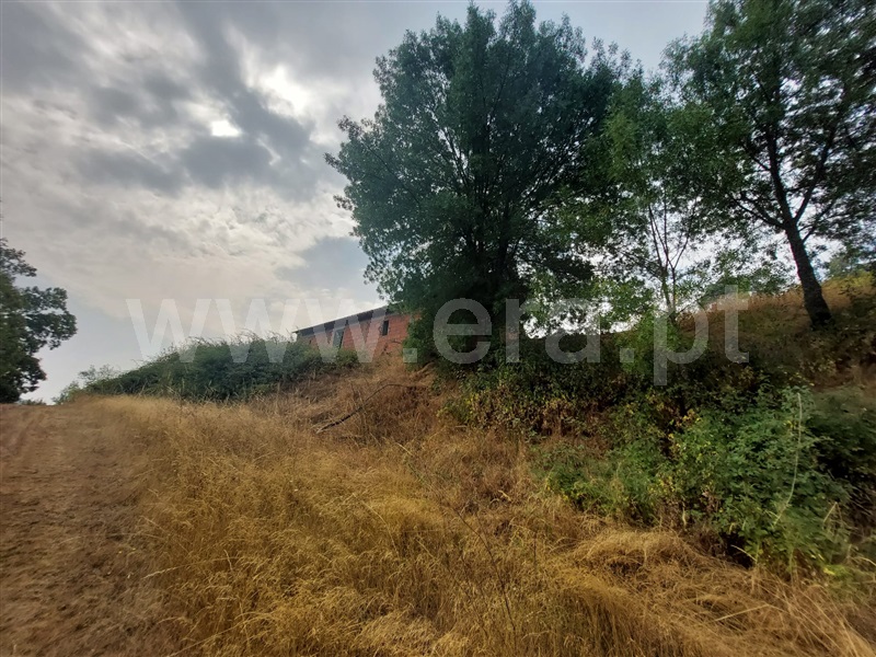 Terreno  Bragança, Rabal - 1501542 - 7