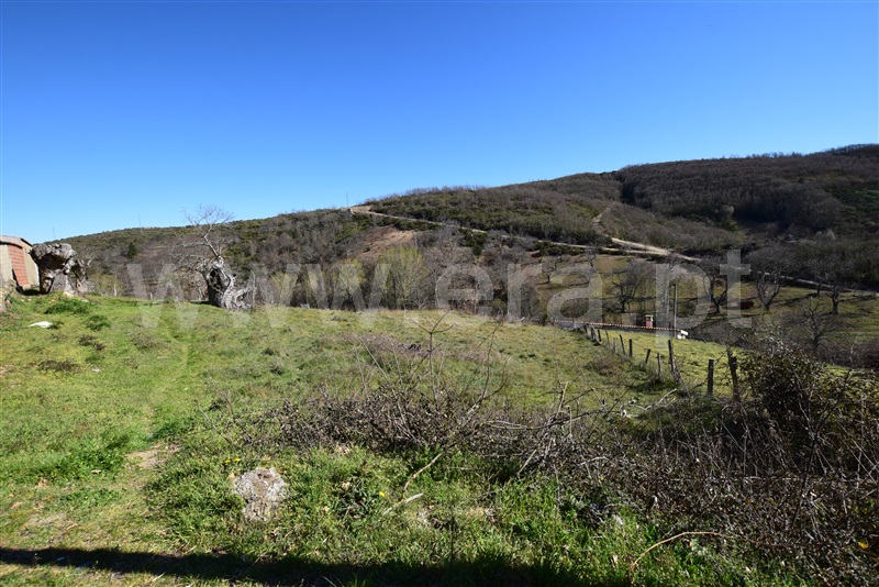 Terreno  Bragança, Sortes - 1034793 - 3