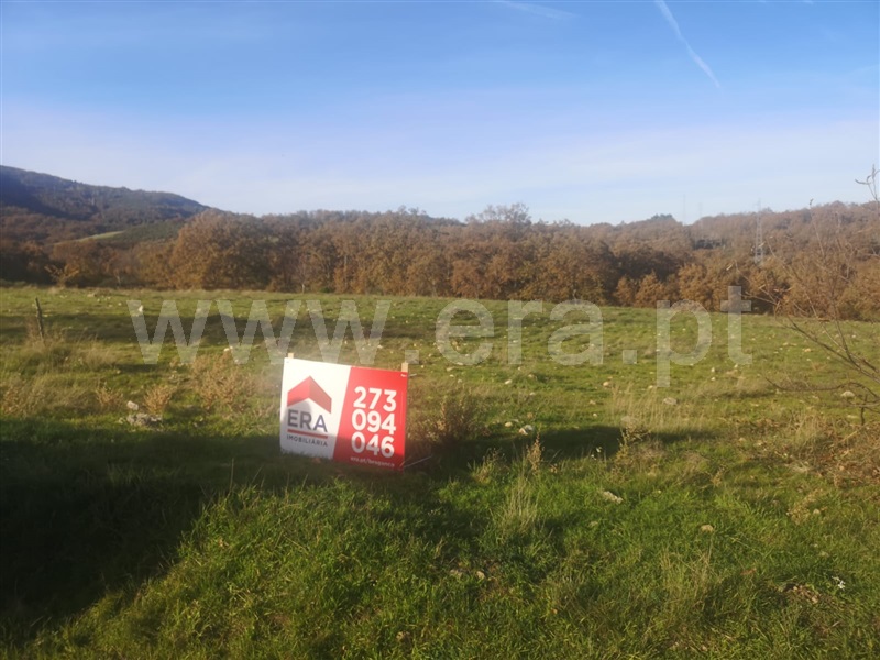 Terreno / Bragança, Sortes