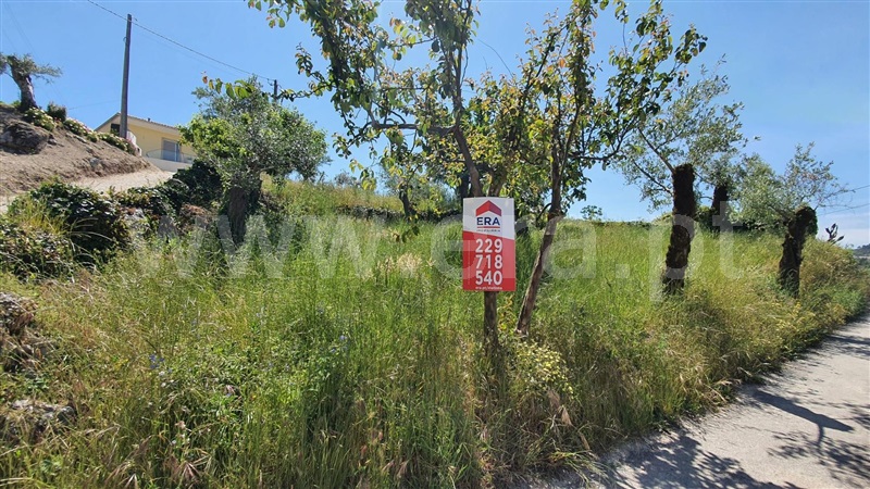 Terreno / Cabeceiras de Basto, Alvite e Passos
