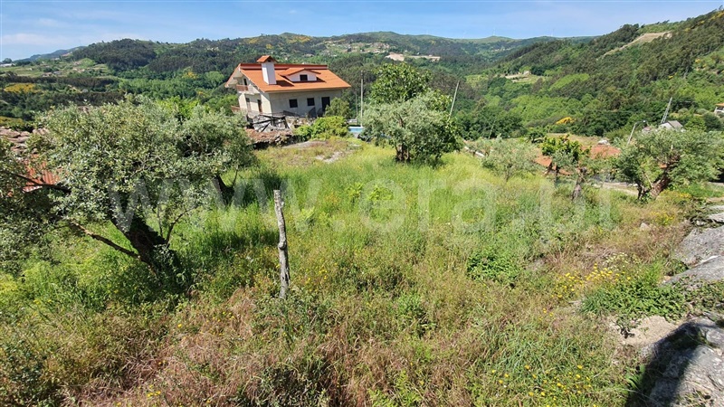 Terreno  Cabeceiras de Basto, Alvite e Passos - 1219129 - 3