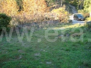 Terreno / Cabeceiras de Basto, Alvite e Passos