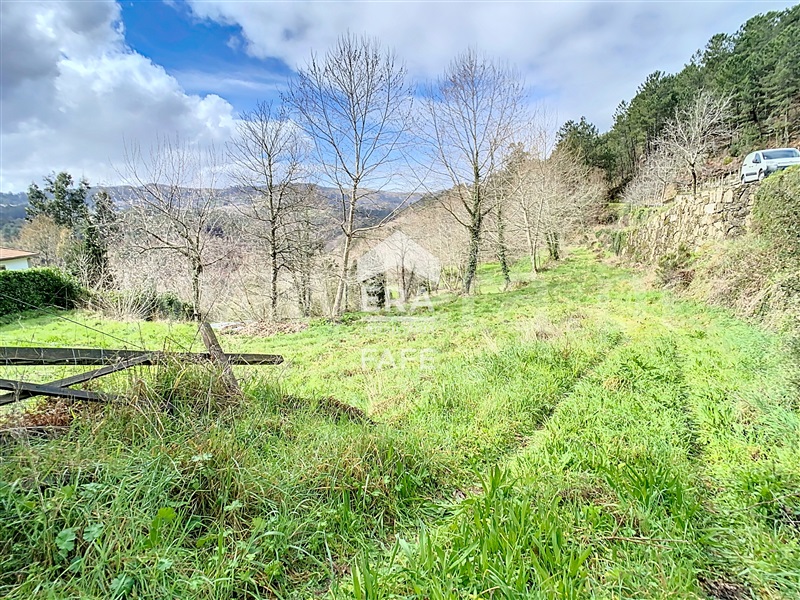 Terreno / Cabeceiras de Basto, Alvite e Passos