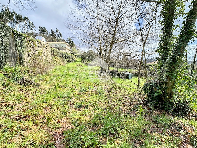 Terreno  Cabeceiras de Basto, Alvite e Passos - 1391796 - 3