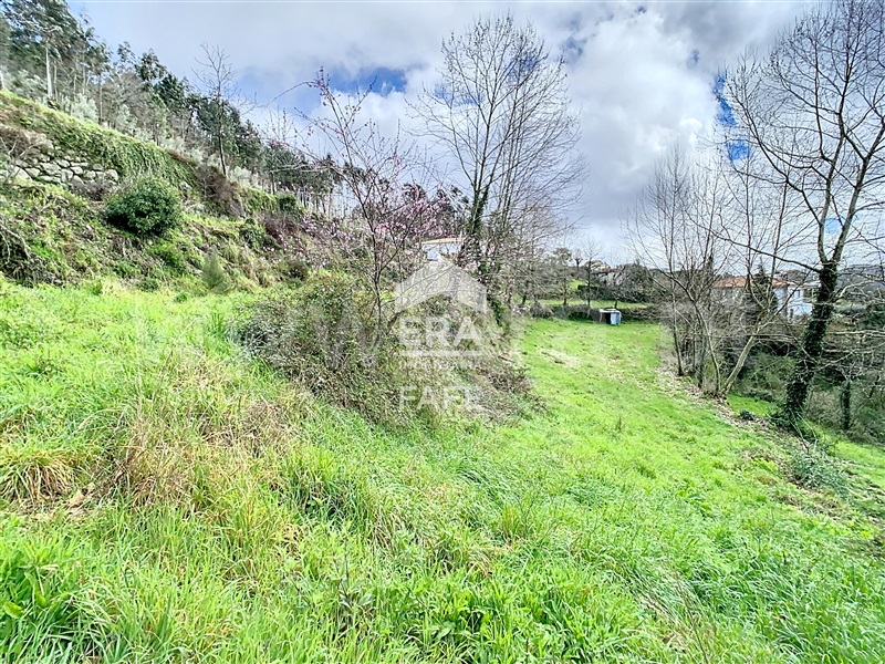 Terreno  Cabeceiras de Basto, Alvite e Passos - 1391796 - 4