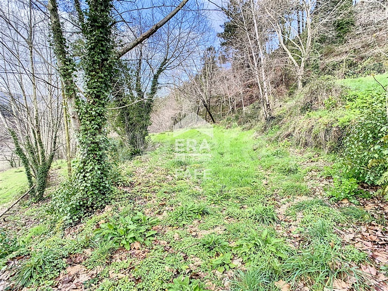 Terreno  Cabeceiras de Basto, Alvite e Passos - 1391796 - 5