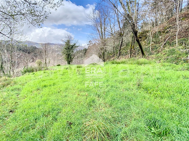 Terreno  Cabeceiras de Basto, Alvite e Passos - 1391796 - 6
