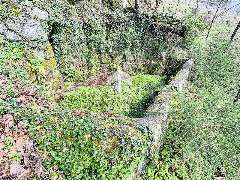 Terreno  Cabeceiras de Basto, Alvite e Passos - 1391796 - 7