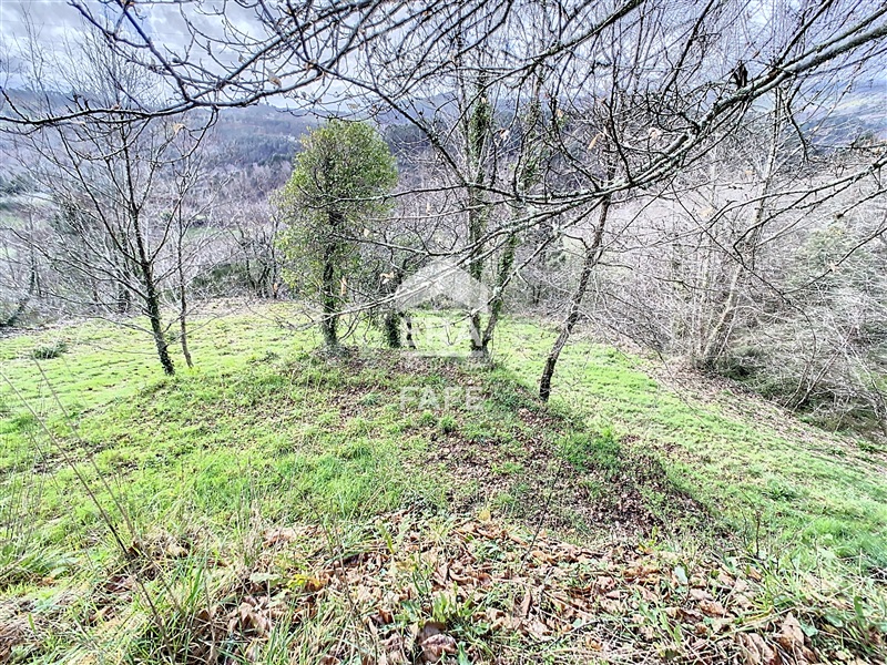 Terreno  Cabeceiras de Basto, Alvite e Passos - 1391796 - 8