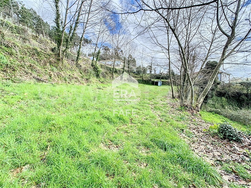 Terreno  Cabeceiras de Basto, Alvite e Passos - 1391796 - 11