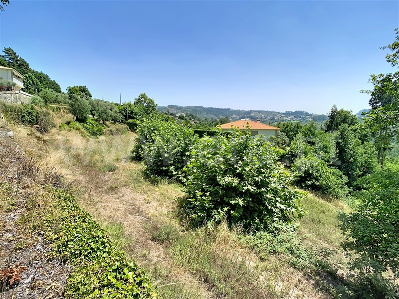 Terreno / Cabeceiras de Basto, Alvite e Passos