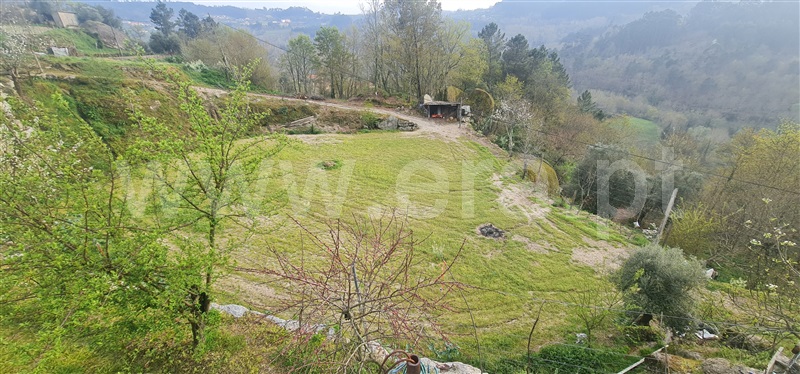 Terreno  Cabeceiras de Basto, Alvite e Passos - 1393830 - 2