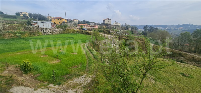 Terreno  Cabeceiras de Basto, Alvite e Passos - 1393830 - 3
