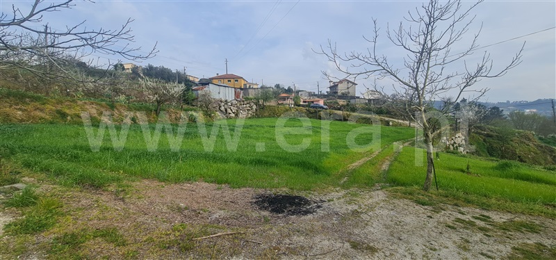 Terreno  Cabeceiras de Basto, Alvite e Passos - 1393830 - 5