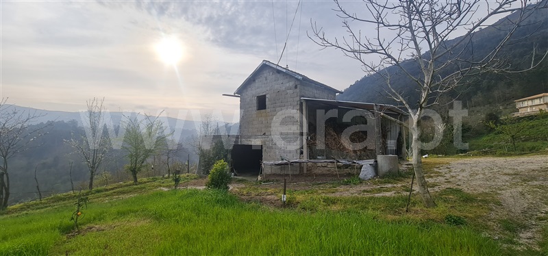 Terreno  Cabeceiras de Basto, Alvite e Passos - 1393830 - 6