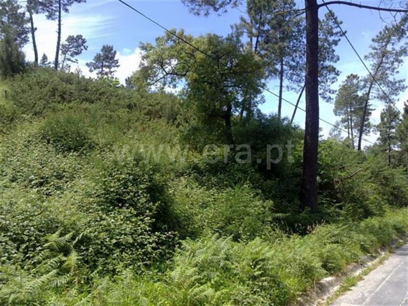 Terreno  Cabeceiras de Basto, Alvite e Passos - 665584 - 4