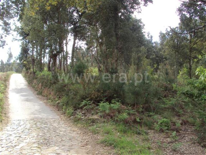 Terreno  Cabeceiras de Basto, Arco de Baúlhe e Vila Nune - 101010 - 2