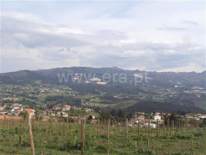 Terreno  Cabeceiras de Basto, Arco de Baúlhe e Vila Nune - 101010 - 3