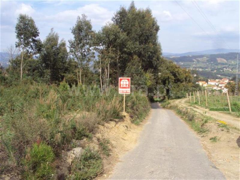 Terreno  Cabeceiras de Basto, Arco de Baúlhe e Vila Nune - 101010 - 7