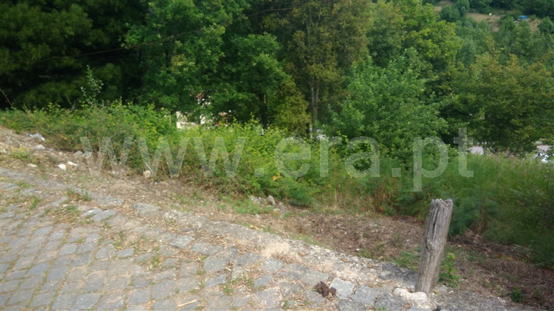 Terreno / Cabeceiras de Basto, Arco de Baúlhe e Vila Nune