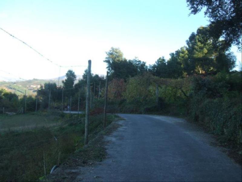 Terreno / Cabeceiras de Basto, Arco de Baúlhe e Vila Nune