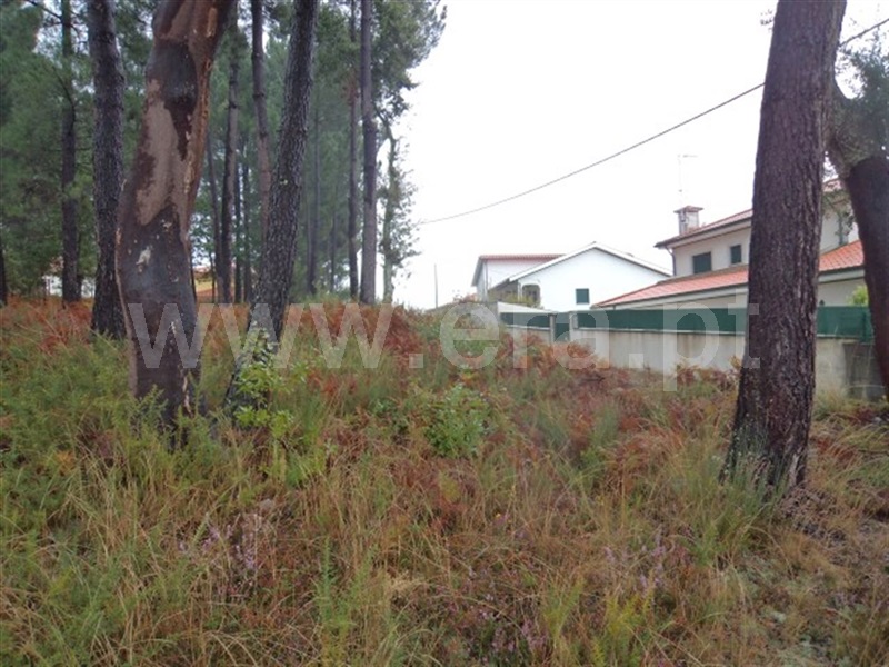 Terreno  Cabeceiras de Basto, Basto - 989282 - 3