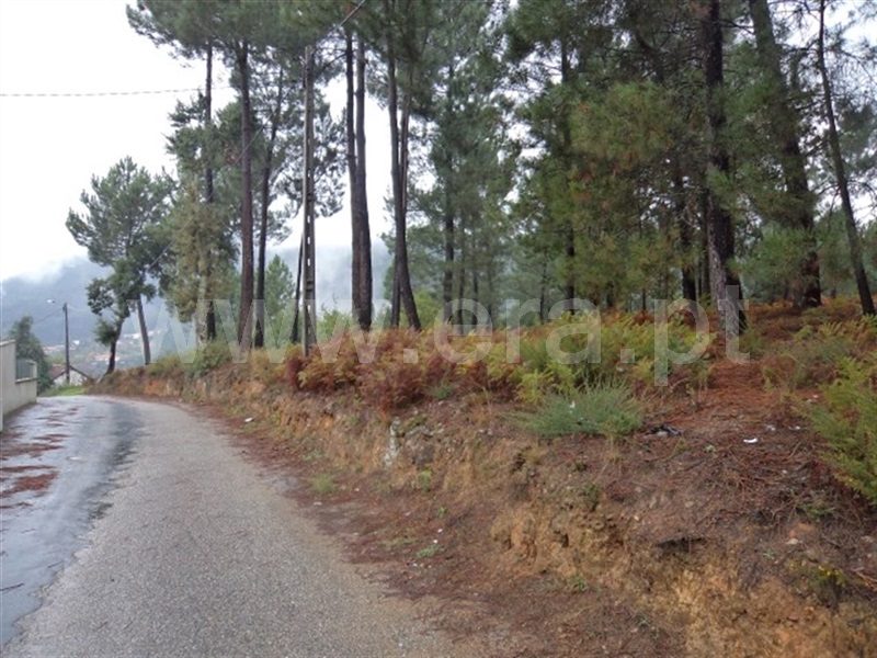 Terreno  Cabeceiras de Basto, Basto - 989282 - 8