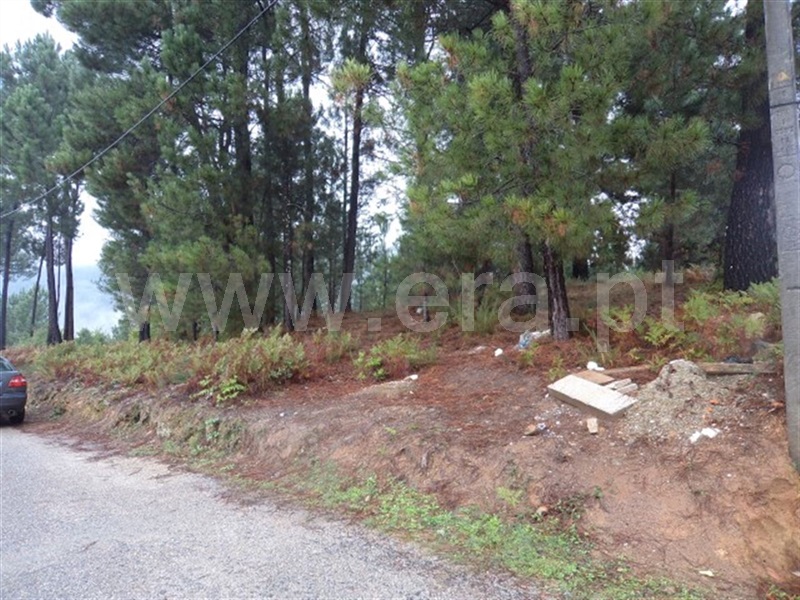 Terreno  Cabeceiras de Basto, Basto - 989282 - 7