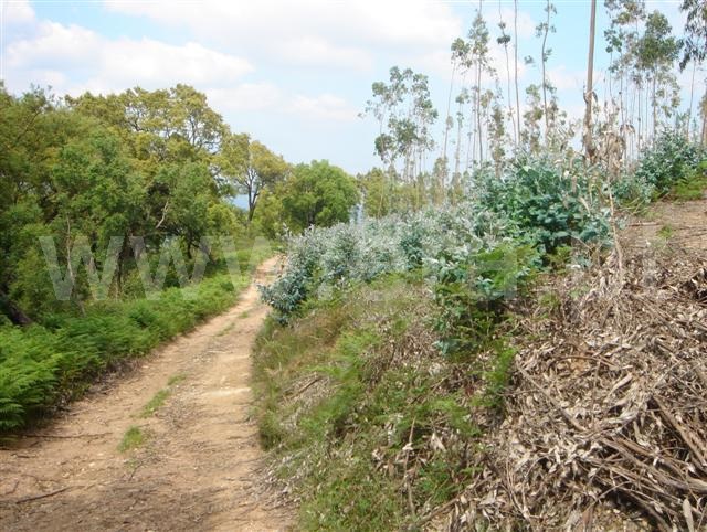 Terreno  Cabeceiras de Basto, Faia - 1022215 - 3
