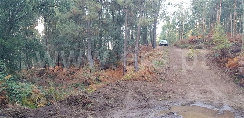 Terreno / Cabeceiras de Basto, Faia