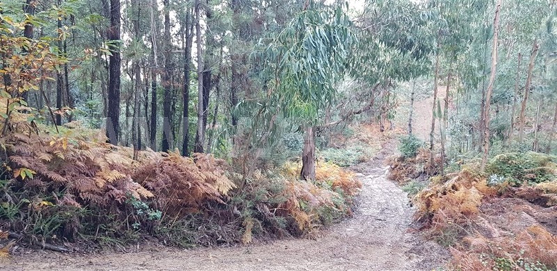 Terreno  Cabeceiras de Basto, Faia - 961090 - 2