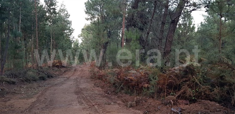 Terreno  Cabeceiras de Basto, Faia - 961090 - 4