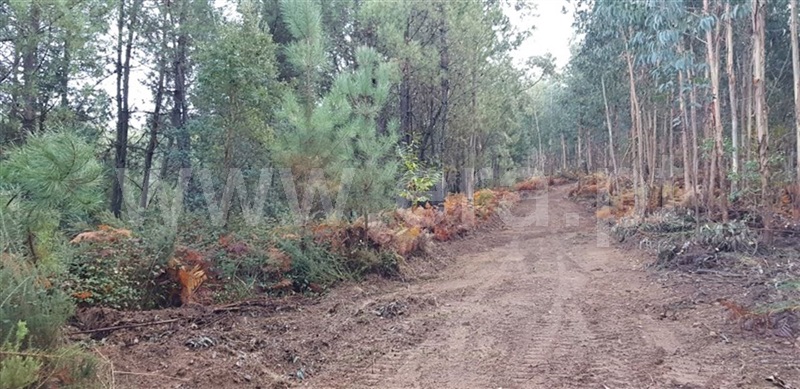 Terreno  Cabeceiras de Basto, Faia - 961090 - 5