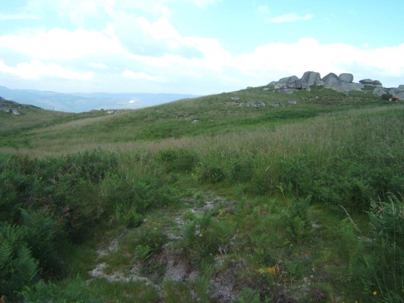 Terreno / Cabeceiras de Basto, Refojos de Basto, Outeiro e Painzela