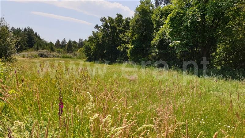 Terreno  Cabeceiras de Basto, Refojos de Basto, Outeiro e Painzela - 1177522 - 4